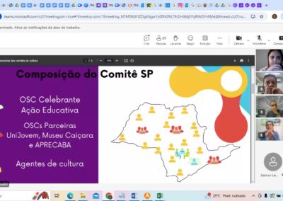 Reunião Institucional de apresentação do Comitê de Cultura para Gestores/as Culturais dos 9 municípios da baixada santista